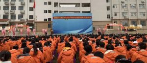 党建领航启新程 龙腾浩志谱新篇 | 南宁市华侨实验...